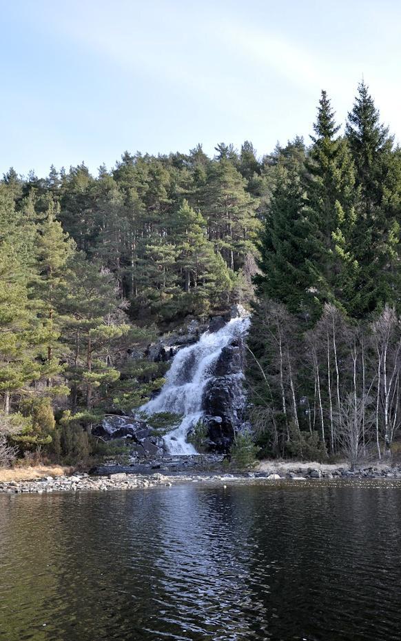 Den funksjonelle strandsonelinja er synt i figurar på følgjande sider i rekkefølgja Dåfjorden i sørvest til Hageberg-Eide i søraust, samt Fonno og Storavatnet til slutt.