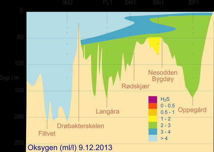 Lysakerfjorden. Tilsvarende ble også observert i oktober.