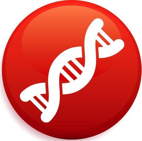 Digitaliseringens DNA salg og Hva er