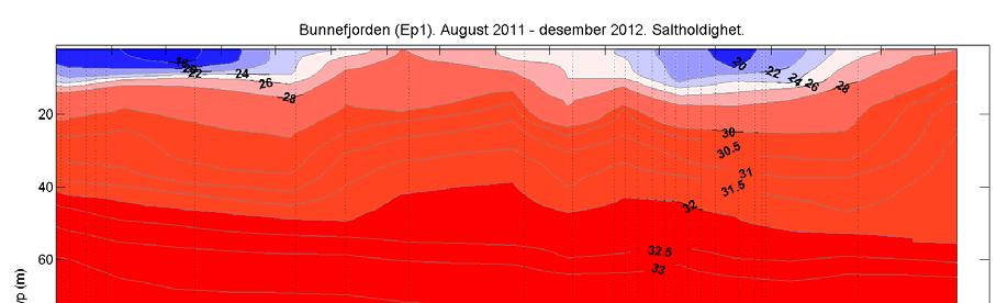 Innstrømning i disse lagene fortsatte også noe utover våren i mellomliggende lag med økt saltholdighet, men liten endring i temperaturen.