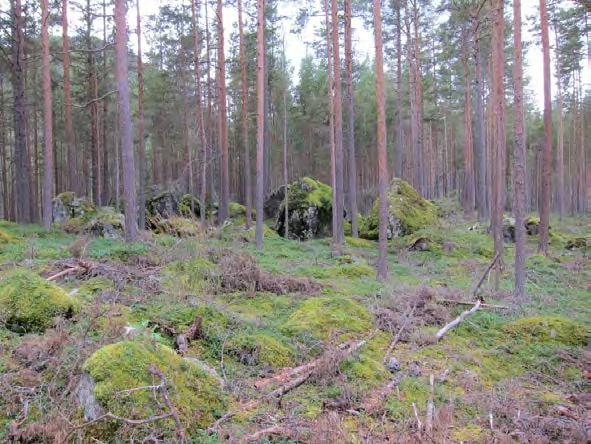 Dermed stakk de hardeste og mest motstandsdyktige lagene etter hvert opp som skarpe rygger i øst-vest-retning, gjerne også med overheng på sørsiden pga at lagene faller mot nord.