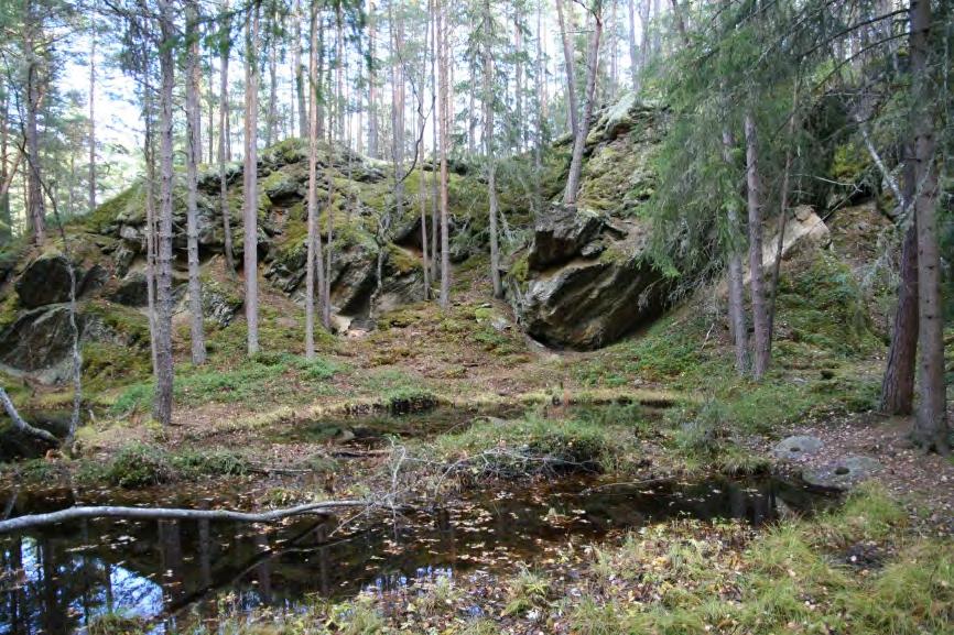 Høydekurver 1 meter. Kartgrunnlag: Statens kartverk. Det største og mest iøynefallende bruddet er det som lokalt er kjent som Storgruva (Figur 42), som typologisk tilhører gruppen av yngre brudd.