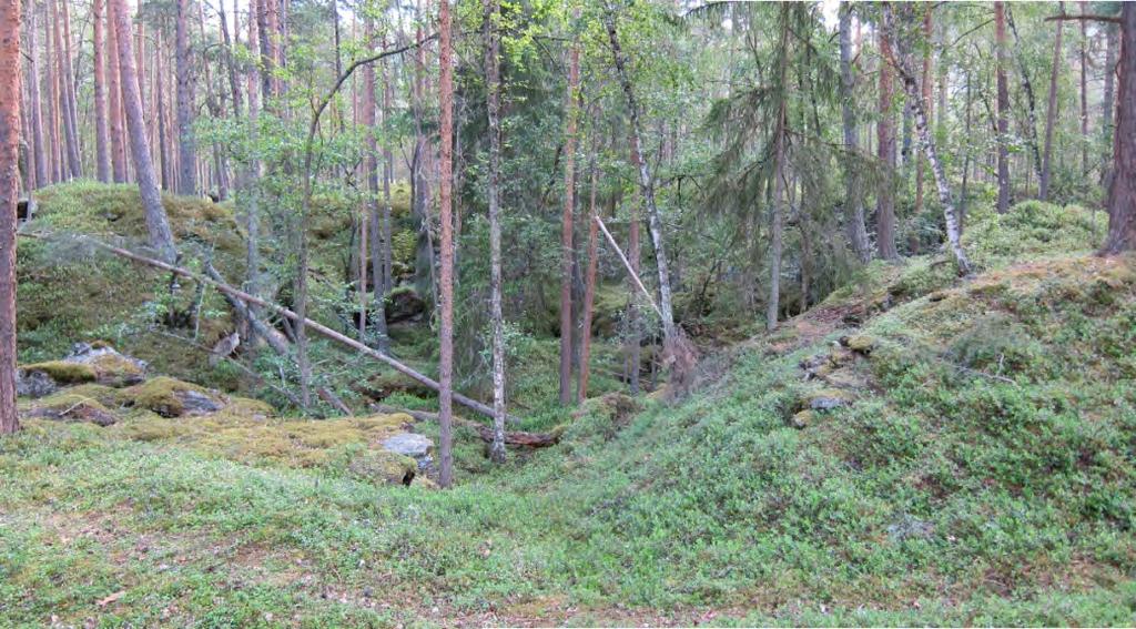 Figur 50. Vestgruva sett fra skrottippen utenfor (mot sør). Omtrent 30-60 meter vest for Storgruva er det ei grunnere bruddgrop av samme type, her kalt Vestgruva (Figur 50).