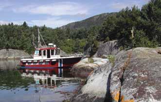 Dragavika tilbyr også gode fiskemuligheter. I Vassendvik finner du et lite friluftsområde som ligger til sjøen.