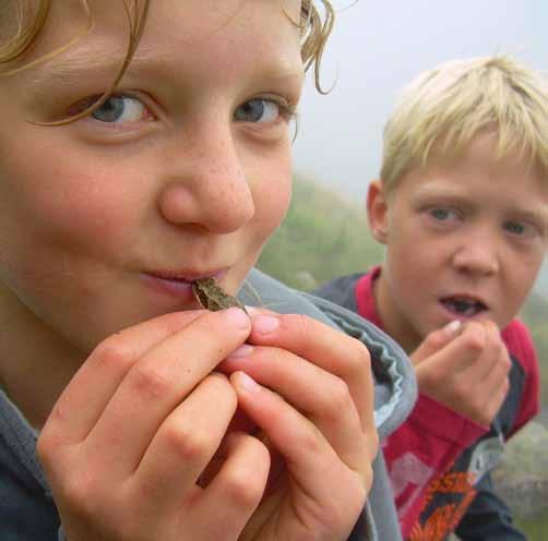 Besøk turplanleggeren på våre nettsider. Der presenters også stadig lokale turer og nyheter og utfyllende info om hyttetilbudet og hyttene. www.turistforeningen.