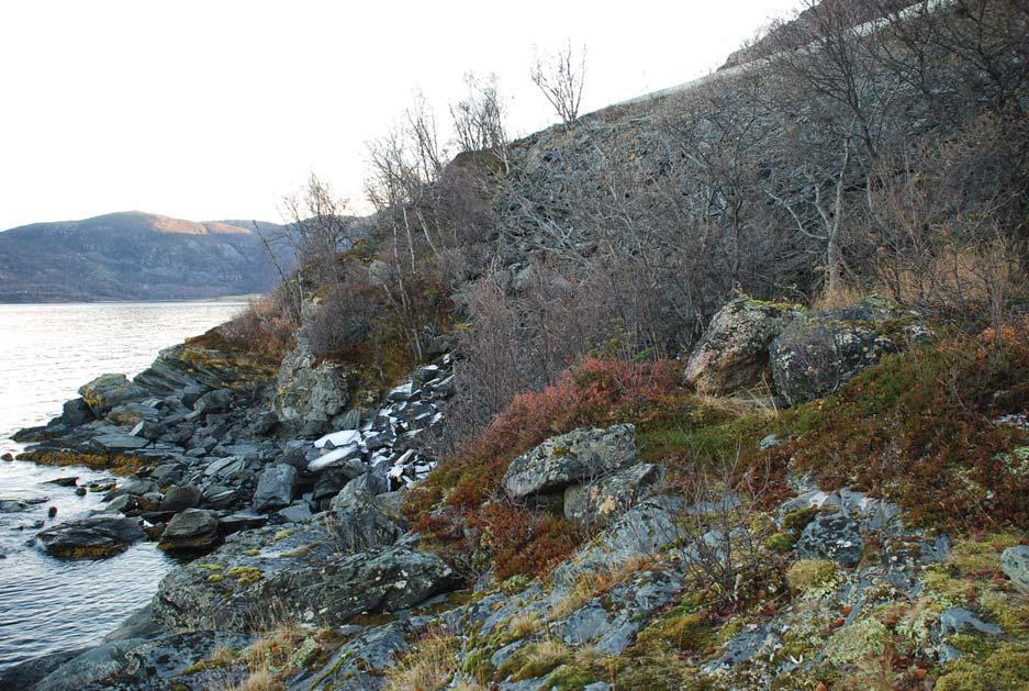 Geoteknisk rapport nr. 2011140073-3 det er svært stor grunnvannsstrøm i skråningen. Dette har trolig ført til sig. Det er ingen markert eller bratt marbakke.