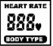 HEART RATE/BODY TYPE Display: Indikerer kun én verdi av pulsnivå eller kroppstype. Avhenger av hvilket program som er valgt.