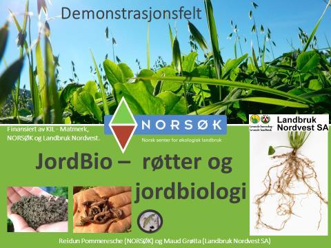 Feltet ble etablert etter nedpløying av eng på Tingvoll (Nordmøre), for å vise jordstruktur, jordbiologi, rotutvikling og rottyper av ulike planter.