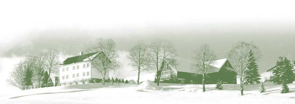 RAPPORTER OM BYGDETURISME FRA BYGDEFORSKNING: Rurale idyller - gårdsturismens hjemmesider. R-7/10 Inga Marie Osestad Skavhaug Besøkende på gårdsturismeanlegg. R-3/09 Marit S. Haugen og Trude M.