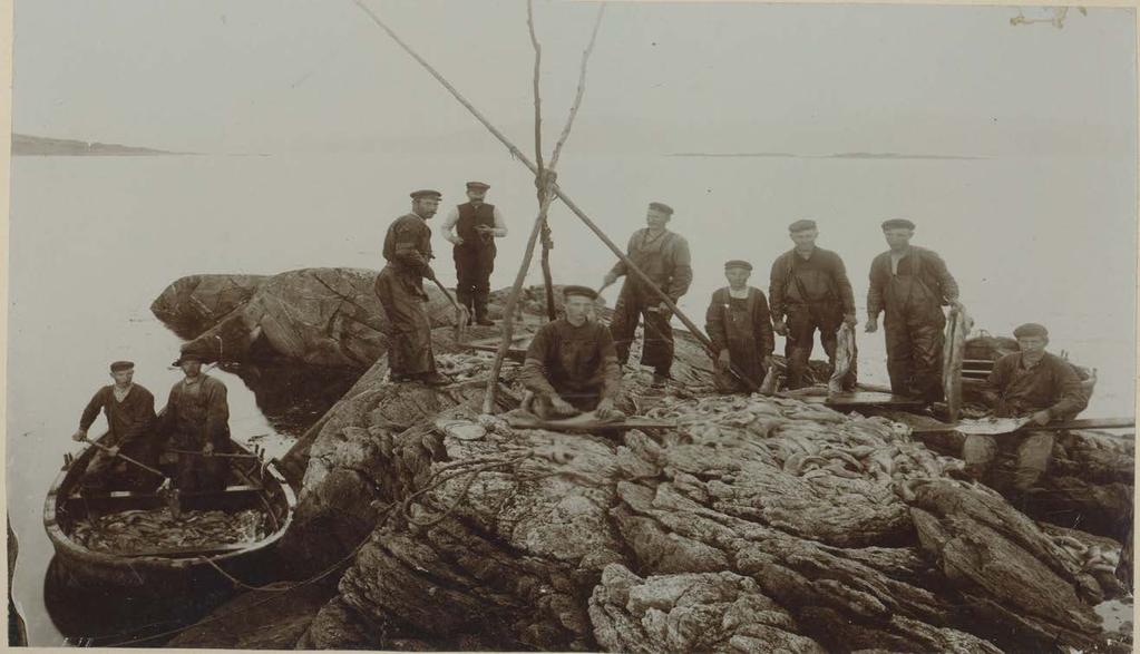 Torsvåg fiskerihavn 1920