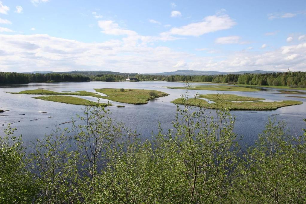 Nr Navn Omfangsvurdering Omfang Øvrig areal Alt A og B beslaglegger hovedsakelig jordbruksmark eller ordinære naturareal utenfor verdiklassifiserte lokaliteter og omfanget vurderes som lite.