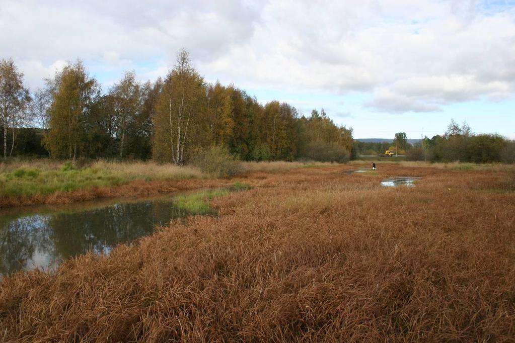 1.1 Verneformål Formålet med vernet av Åkersvika er å bevare et viktig våtmarksområde med tilhørende plantesamfunn, fugleliv og annet dyreliv som naturlig er knyttet til området, særlig med hensyn