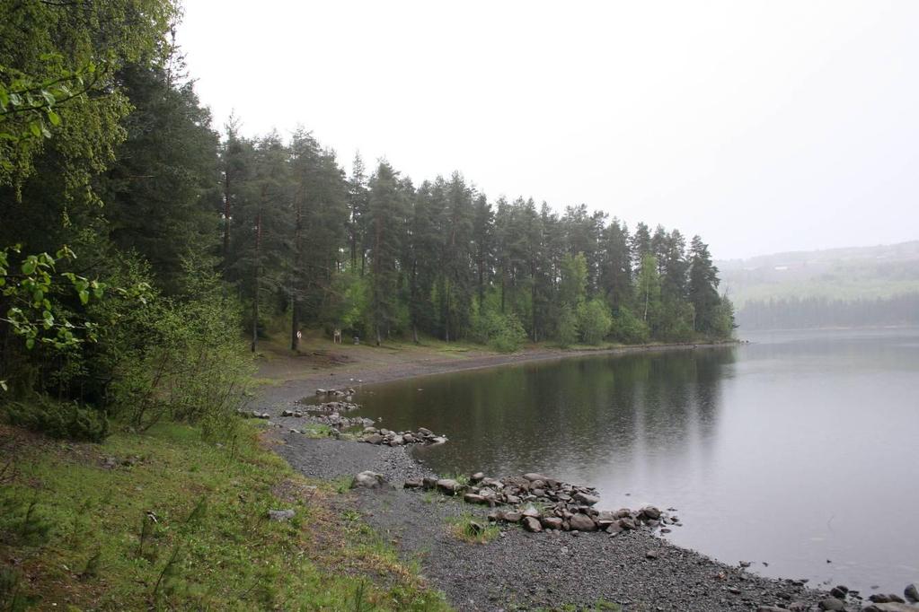 Lokaliteten Strandbakkstranda-Harpvika med naturtypen kalkskog. Det er potensial for rødlistede markboende sopper på lokaliteten.