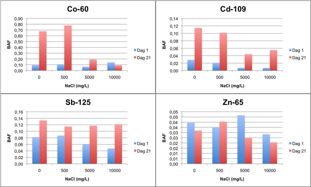Figur 22. Bioakkumuleringsfaktor (BAF) for 60 Co, 109 Cd, 125 Sb og 65 Zn ved dag 1 og 21 ved 0, 500, 5000 og 10 000 mg NaCl/L. Grafene har ulik skala på y-aksen.