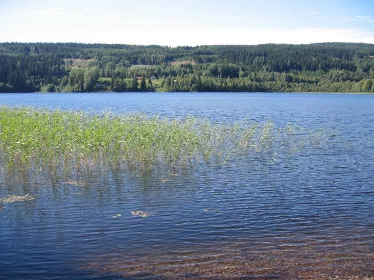 Aksjøen har blitt kalket, men kalkingen ble avsluttet i 2012. Innsjøen er omgitt av store myrområder. Avløp fra et hytteområde nordvest for innsjøen med ca.