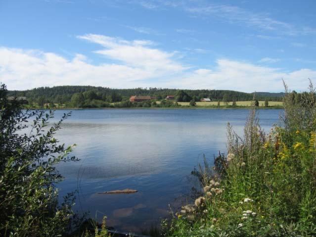 Stangnessjøen Stangnessjøen (148 moh.) er en middels stor, grunn innsjø i Eidskog kommune (se foto, Figur 3). Figur 3. Stangnessjøen den 18.8.2015.