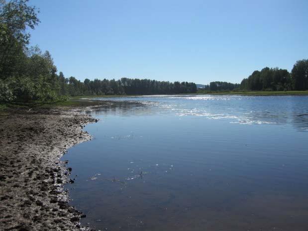 Videre antas en flisfylling langs innsjøens vestbredd å kunne bidra med tilførsler av organisk stoff.