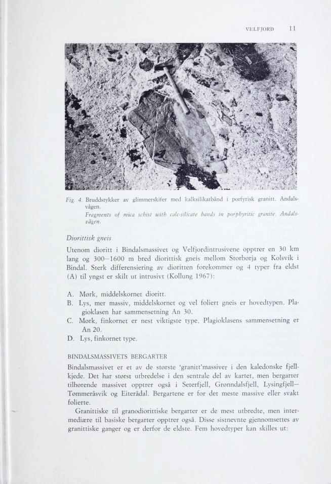 VELFJORD 11 Fig. 4. Bruddstykker av glimmerskifer med kalksilikatbånd i porfyrisk granitt. Andals vågen. Fragments of mica schist ivith calc-silicate hands in porphyritic granite, Andals vågen.