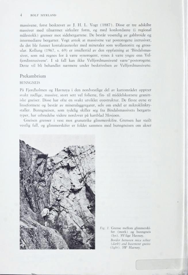 SIENGNUB muirbmakerp 4 ROLF MYRLAND enevisam, forst beskrevet av J. H. L. Vogt (187).