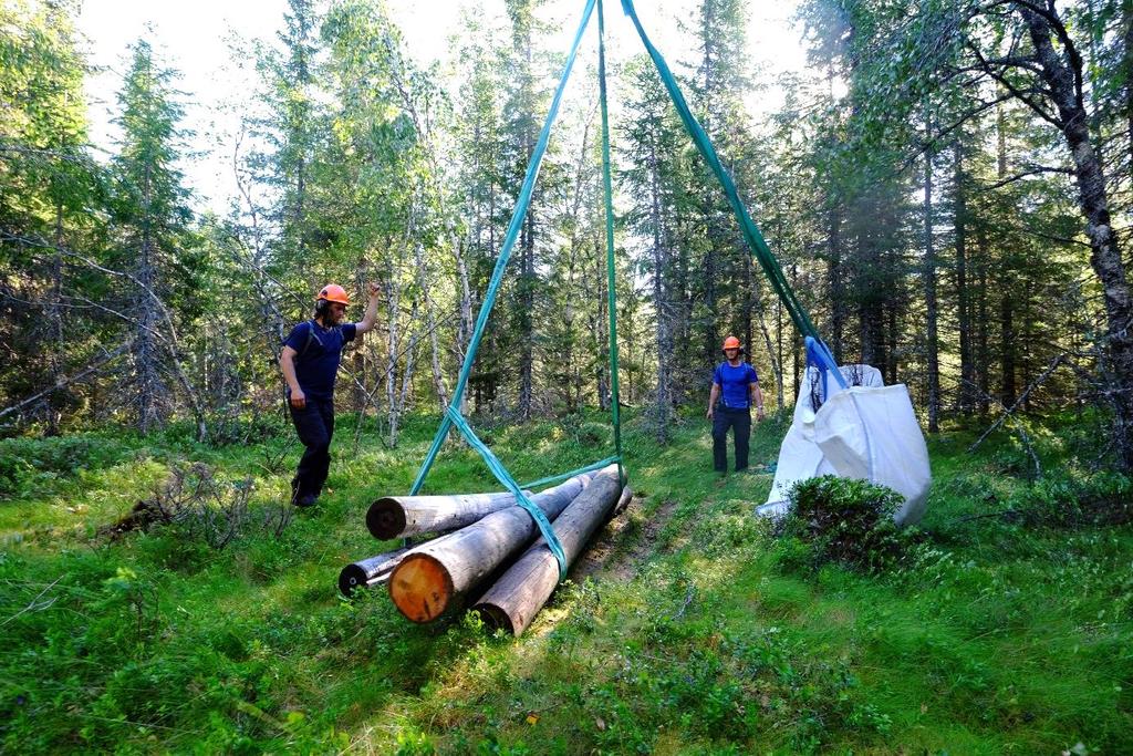 Opprydding av telefonlinje i Sæterdalen - Telenor ved BN entreprenør Naturveiledning I forbindelse med Granedagan hadde SNO stand i samarbeid med flere.