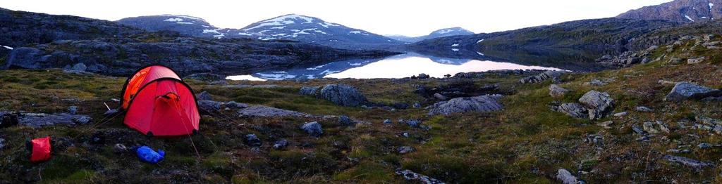 er interessante også for å vurdere behov for tidligere prosjekterte bruer over Lakselva og Sæterelva.