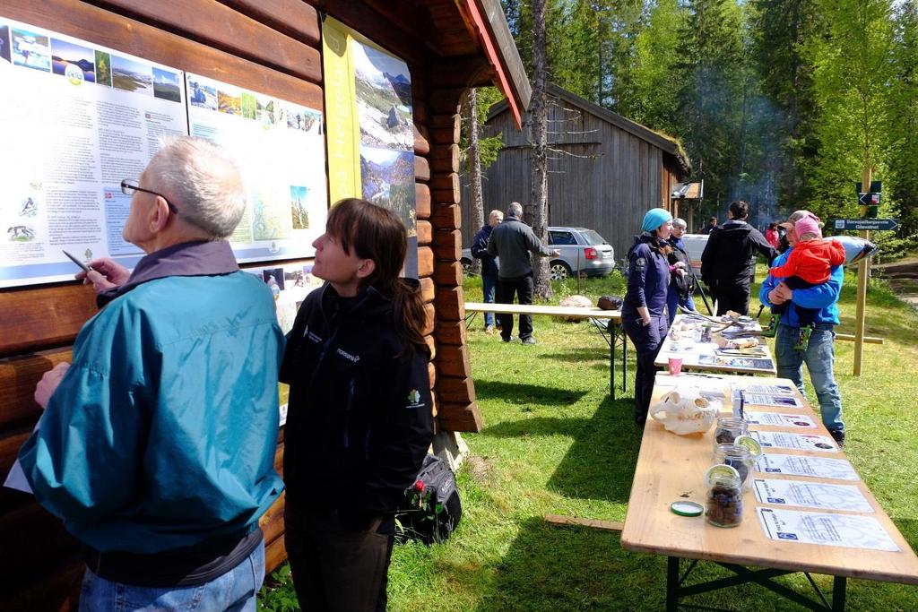 Det er ikke dokumentert hekking av kongeørn i nasjonalparken eller i tilgrensende områder i 2015.