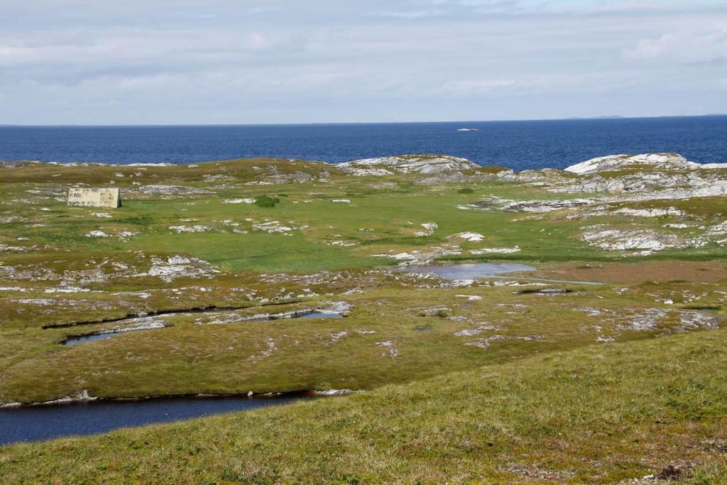 Bilde 5. Bilde viser den vestlige kanalen av strandeng-lokaliteten.