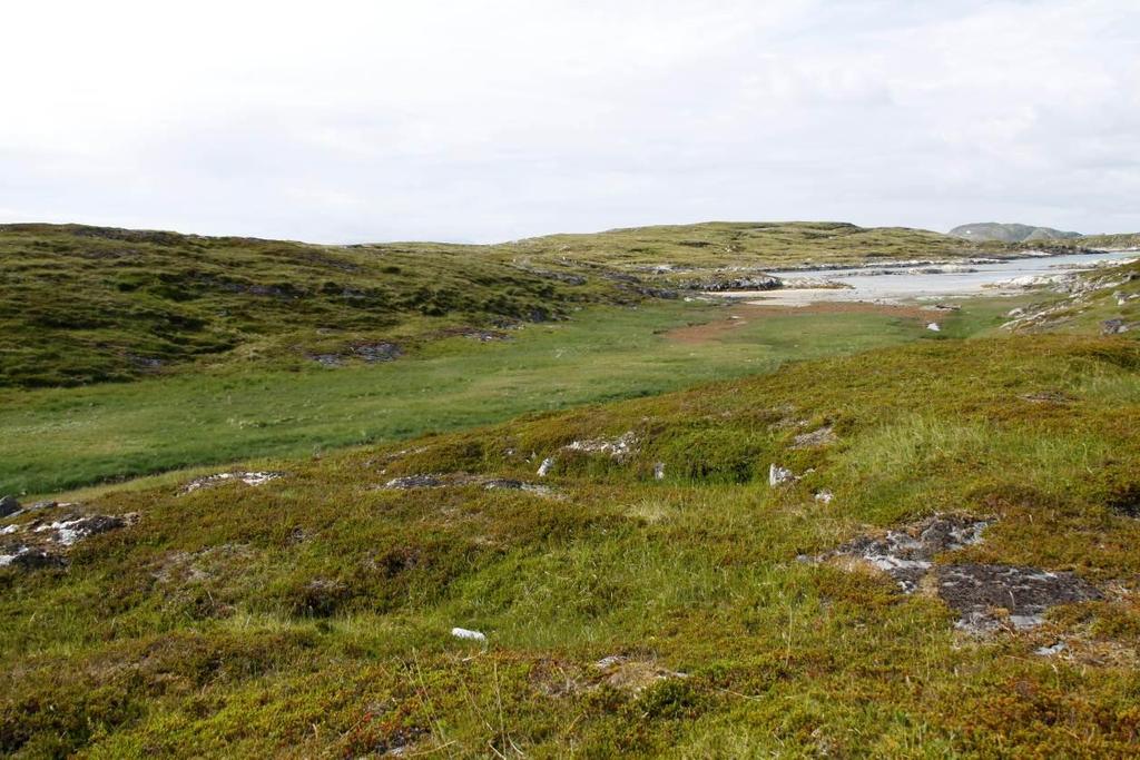 lokaliteten. UTM 33 0396335 7362783. Foto: Thomas H. Carlsen. Bilde 6.