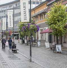 ærmeste nabo er kulturminnet Domkirkeodden, Jernbanemuseet, og flere store, tilgjengelige