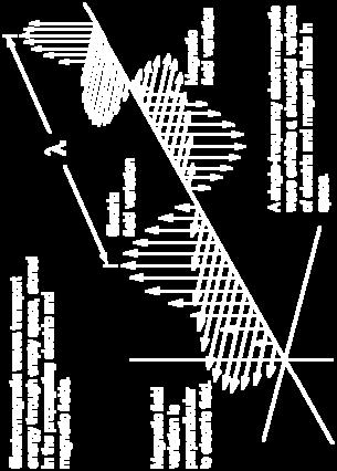two orthogonal vector components, an electrical intensity (E) and a