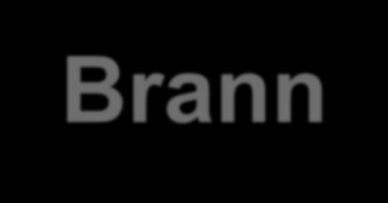 Brann- og