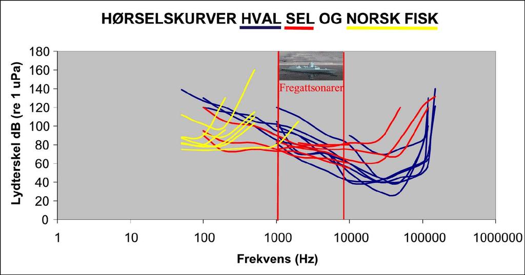 Hvem hører sonar