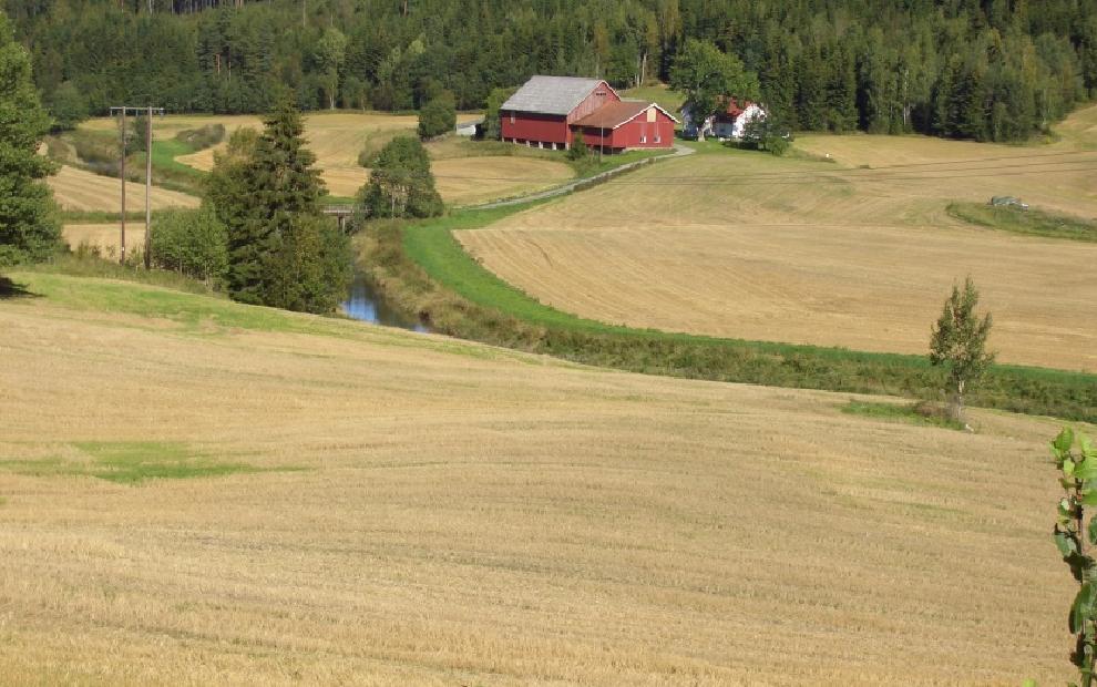 Målretting av tiltak -