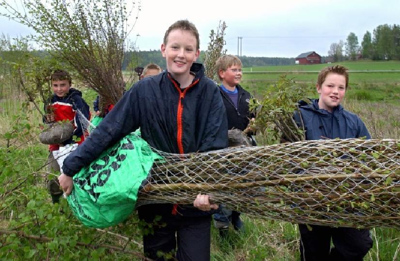 Gras på erosjonsutsatte og flomutsatte arealer Redusere P-innhold på korn- og engarealer til P-AL 7