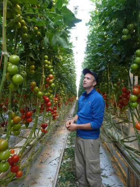 the Norwegian Greenhouse-aerea 400 300 200 100 - Finnmark Troms Nordland Nord-Trøndelag Sør-Trøndelag Møre og Romsdal