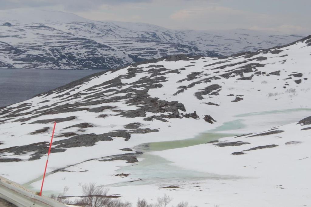 Sørpeskred Vannmetta snø flytende oppførsel(sørpe) Hurtig og flomlignende skredbevegelse