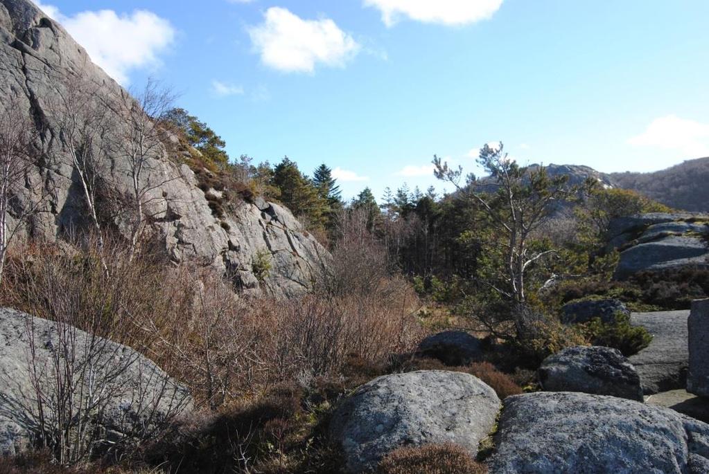 Foto: Ragnhild Tamburstuen Lite skar hvor