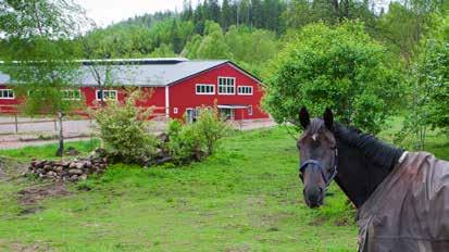 størrelse, åpninger og lys.