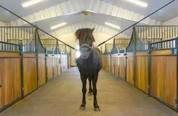 Med Borgas standardstall får du en liten, men effektiv stall på 12 x 24 meter, med plass til opptil 16 bokser à 3 x 4 meter.