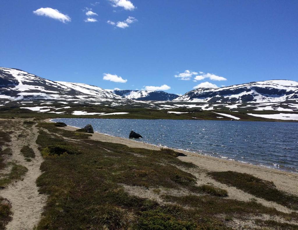 Fleire måtar å gjera det på. Stå på!