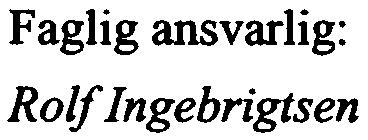 desember 2003 Faglig ansvarlig: Rolf Ingebrigtsen