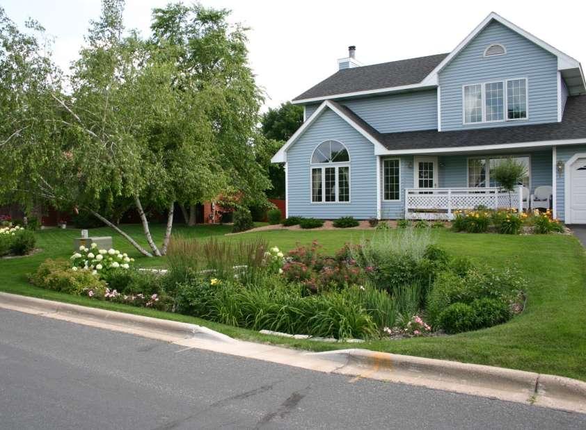 Rain garden i USA Ny type blomsterbed