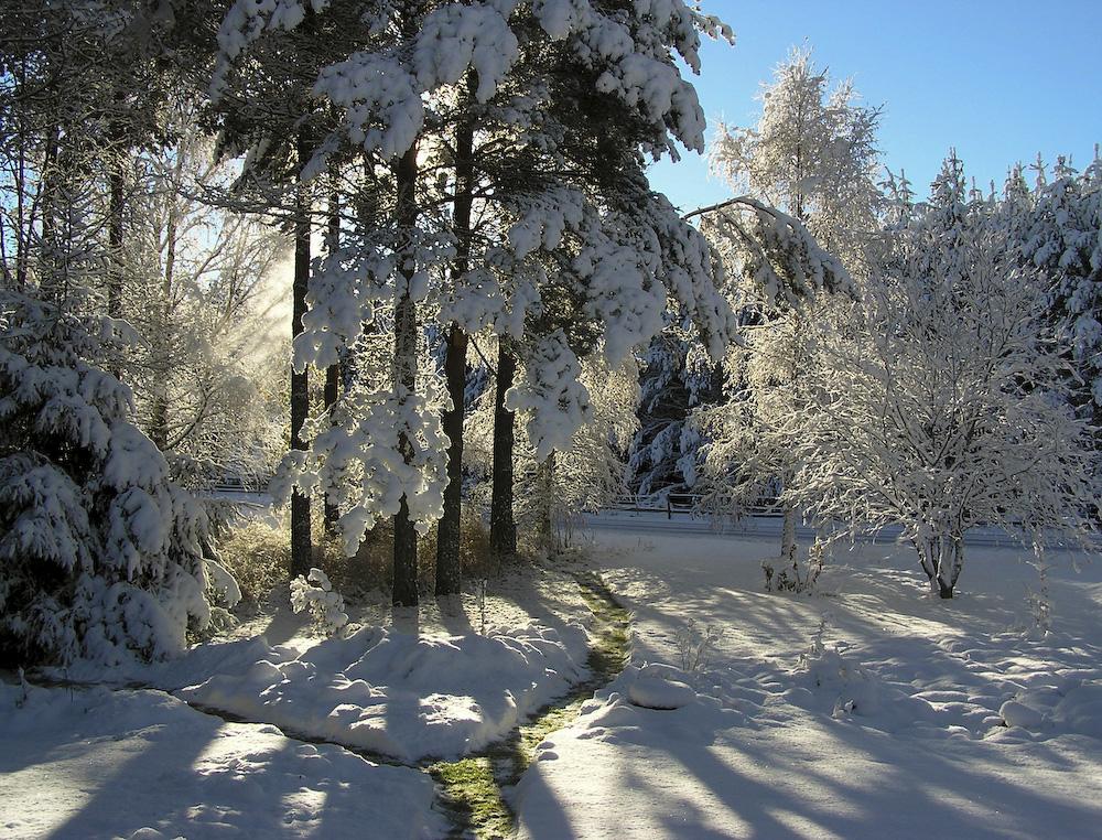 Januar Nyttårsdag Dagfinn Dagfrid Alfred Alf Roar Roger Hanna Hanne Aslaug Åslaug Eldbjørg Knut Torfinn Turid Laurits Laura Ivan Vanja Herdis Hermod Hermann Gunnar Gunn Hjalmar Hilmar Emil Emilie