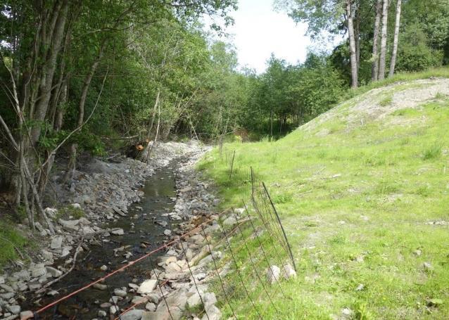 Og etter Hva med nedstrøms forhold? Trær kan bremse flomvannets hastighet.