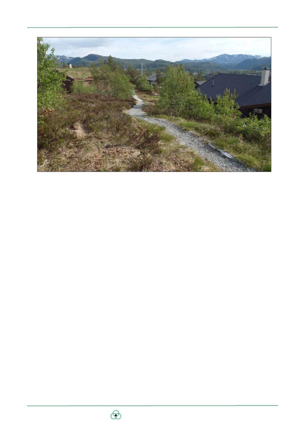 Bilde 2. God terrengtilpasning og pent anlagte stier er et positivt trekk ved dagens hyttefelt på Furåsen. 1.