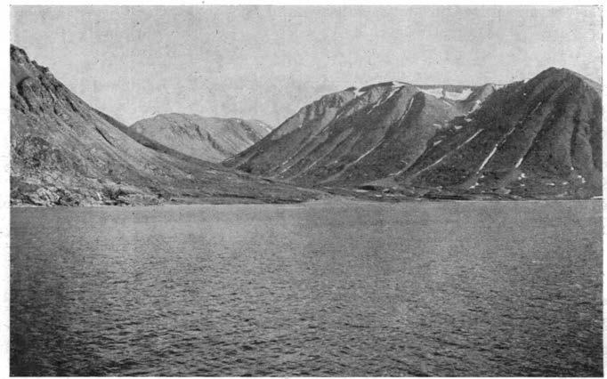 - 372 - Fig. 2. Daumannsøyra på sydsiden av Claveringøya. A. K. Orvin fot.