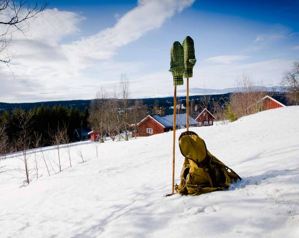 ÅRSRAPPORT For