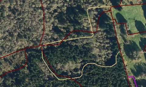 Zoom inn skogflate ganske langt øst i eiendommen (se bilde nedafor). Jordbrukssjefen har vært på befaring i felt og har klassifisert og målt inn et nytt innmarksbeite.