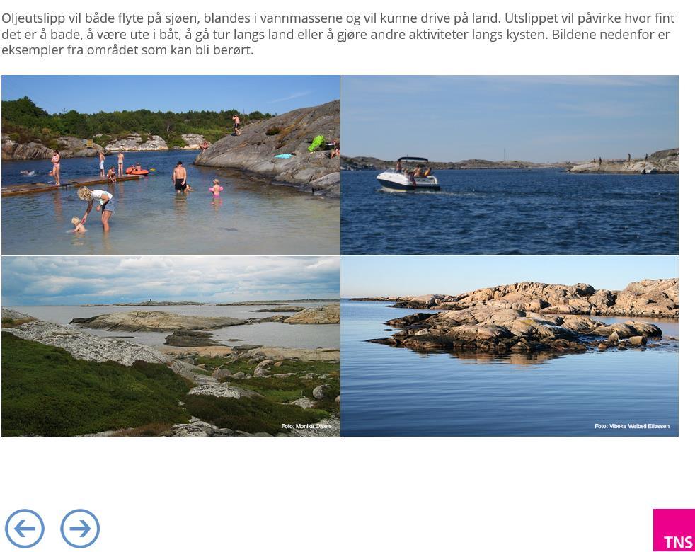 Examples of coastal landscapes and