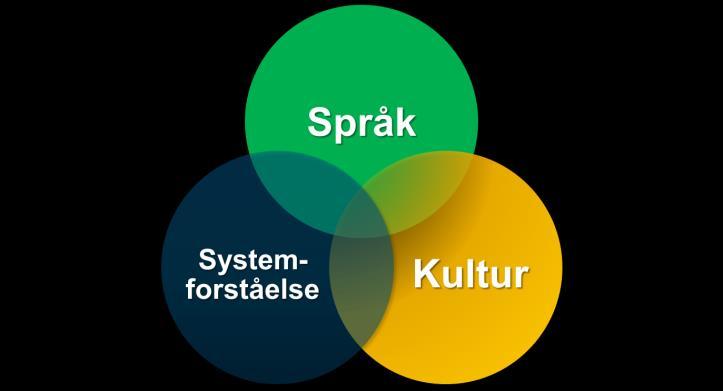 Kultur og kommunikasjon Tillit Empati Respekt Annerkjennelse Utfordres dette når kulturbakgrunnen er